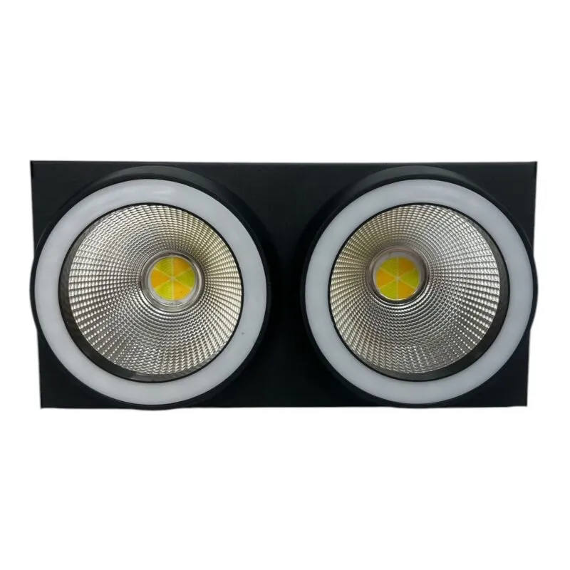 LC200C (2 X 100W COLOR)