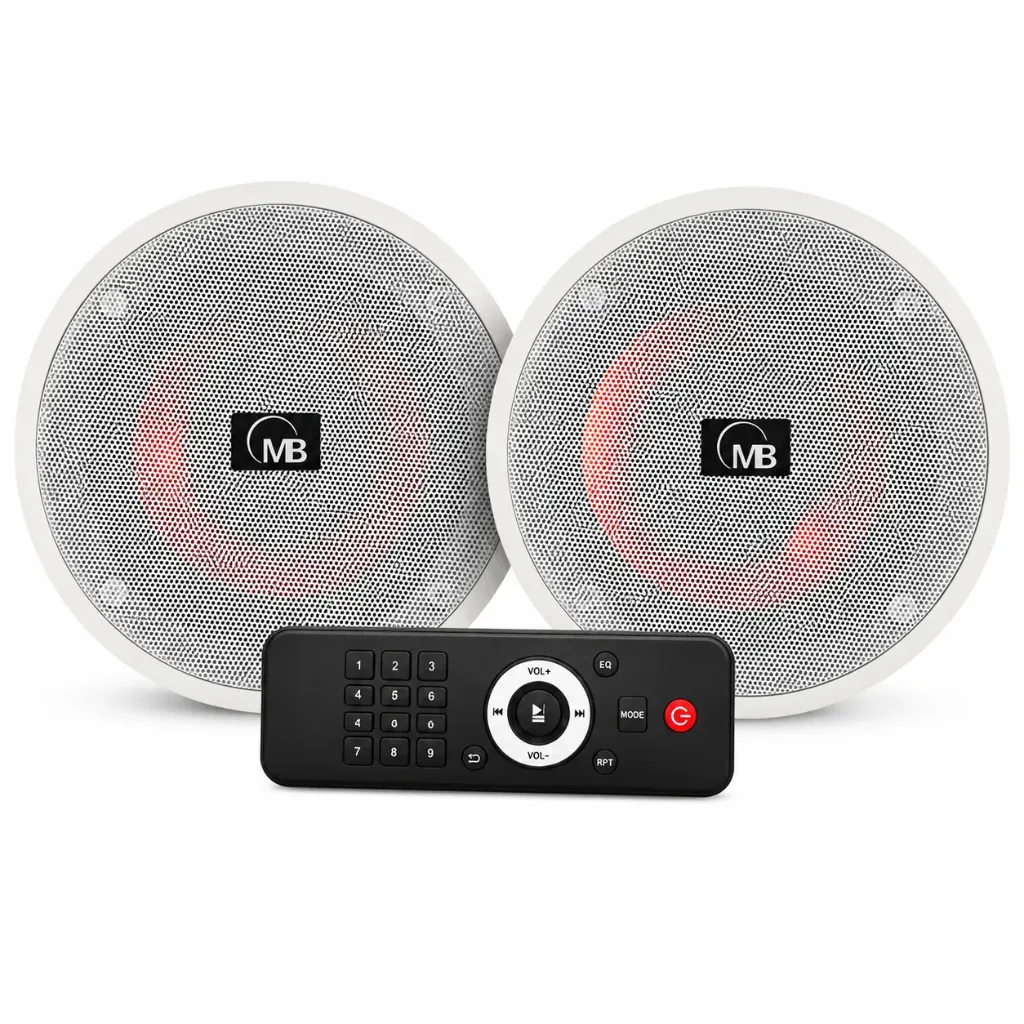 CS616/CS628 (BOCINA PARA TECHO CON BT)